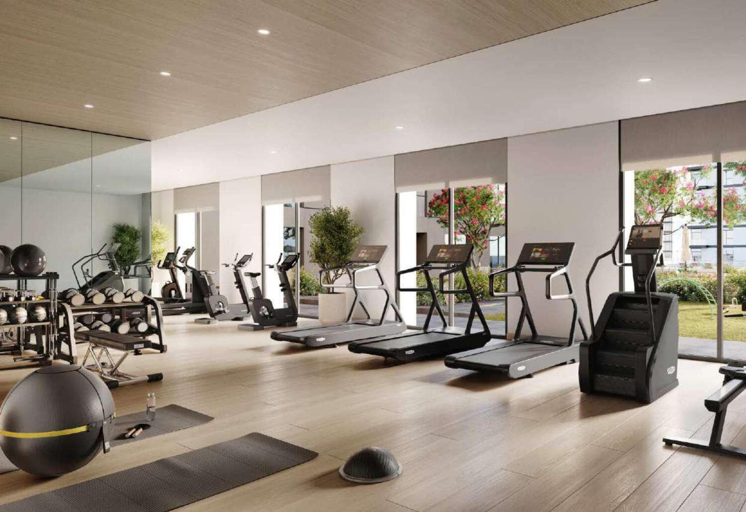 Gym