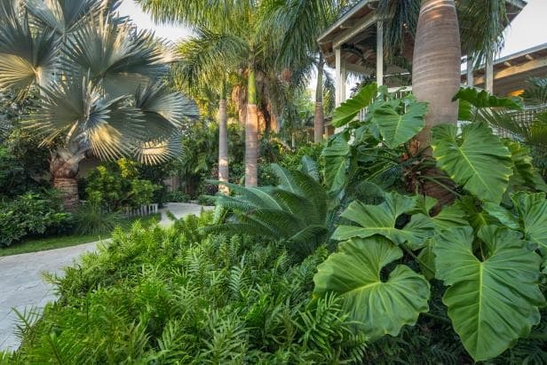 Garden 