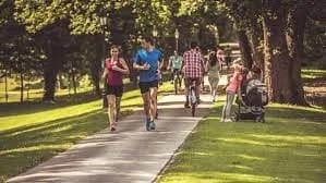 Walking Track