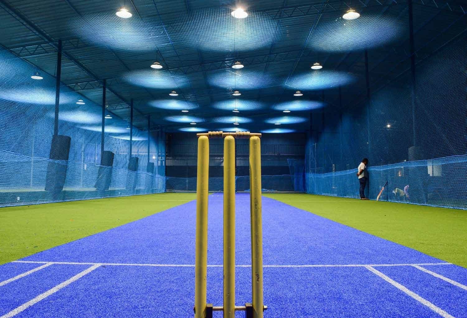  Cricket Pitch