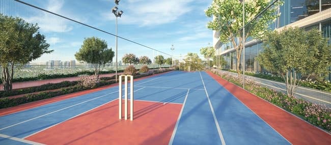 Cricket Pitch