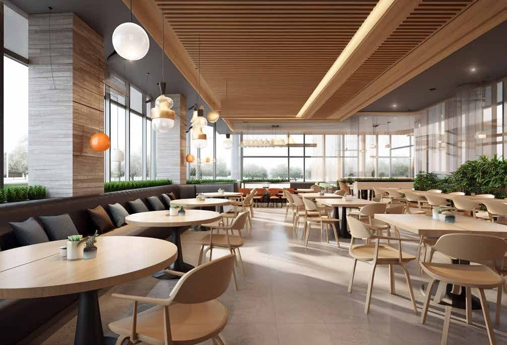 Culinary Delights & Cozy Coffee Shops
