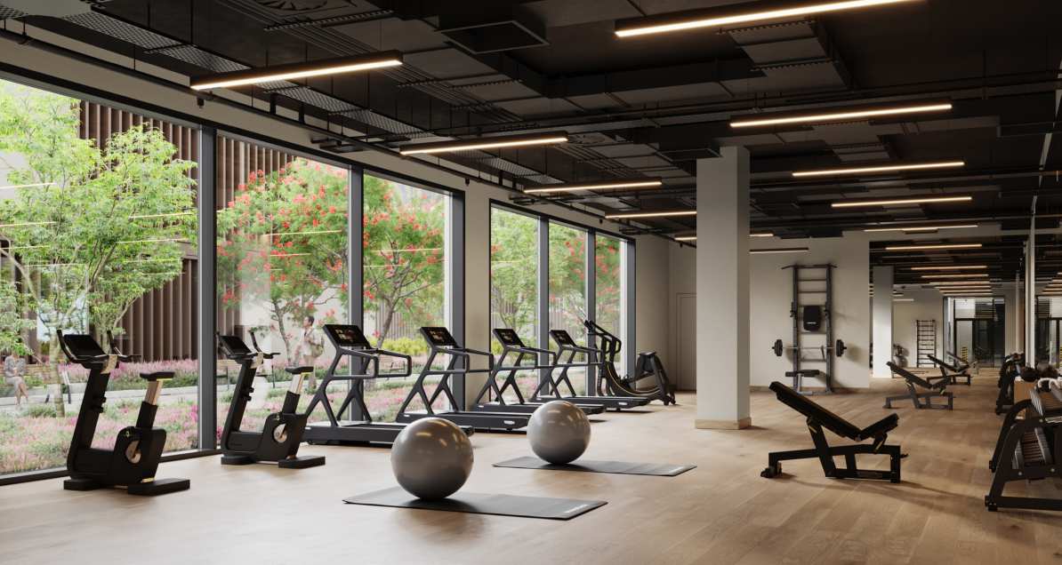 Gym & Fitness Club