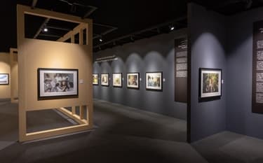 Leos’ Da Vinci Art Academy