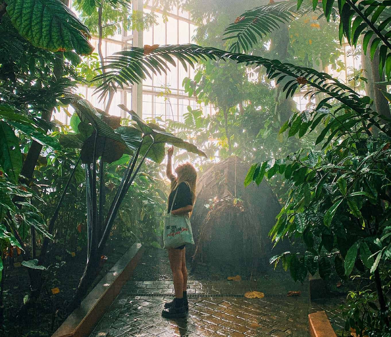 Serenity Garden