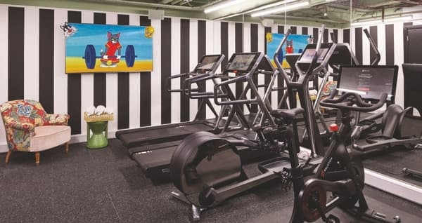 State Of The Art Multi-Purpose Gym