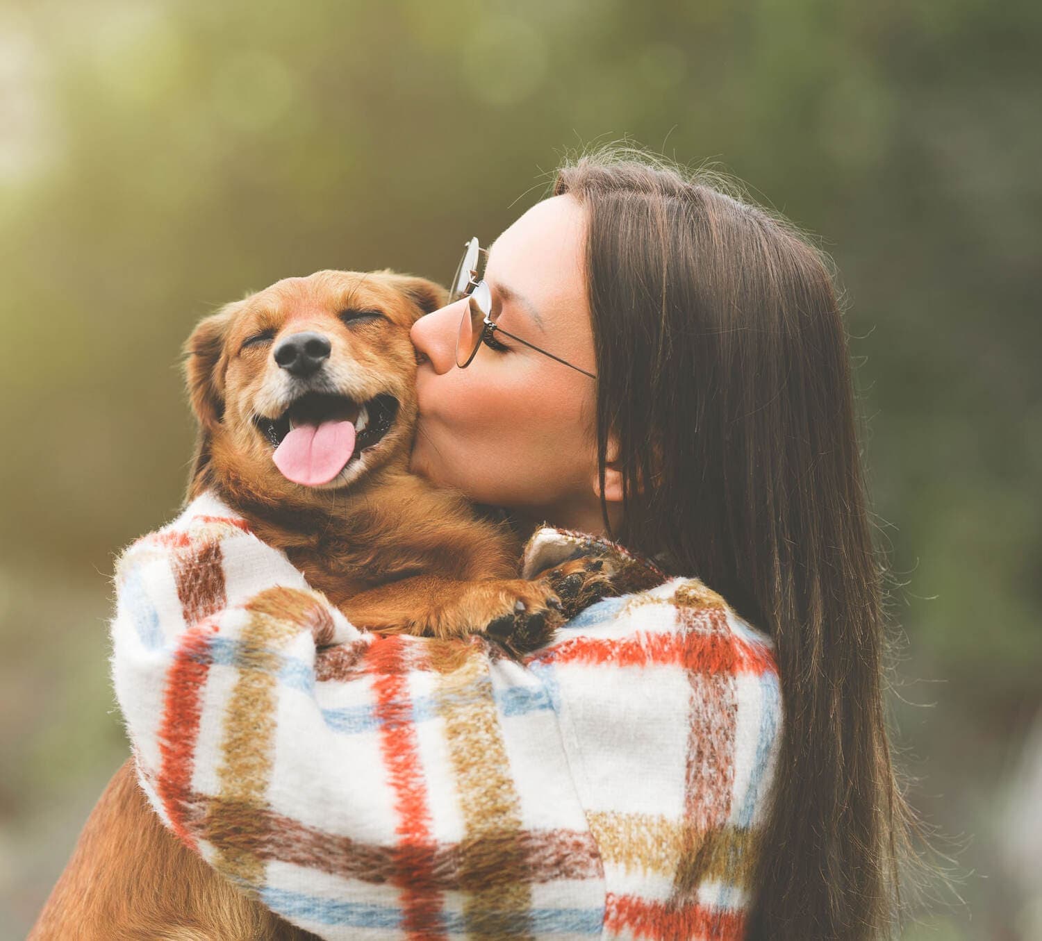 Pet Areas