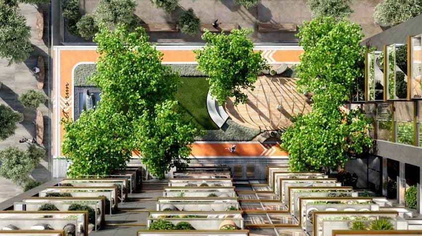 Elevated Gardens
