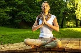 Zen Garden
