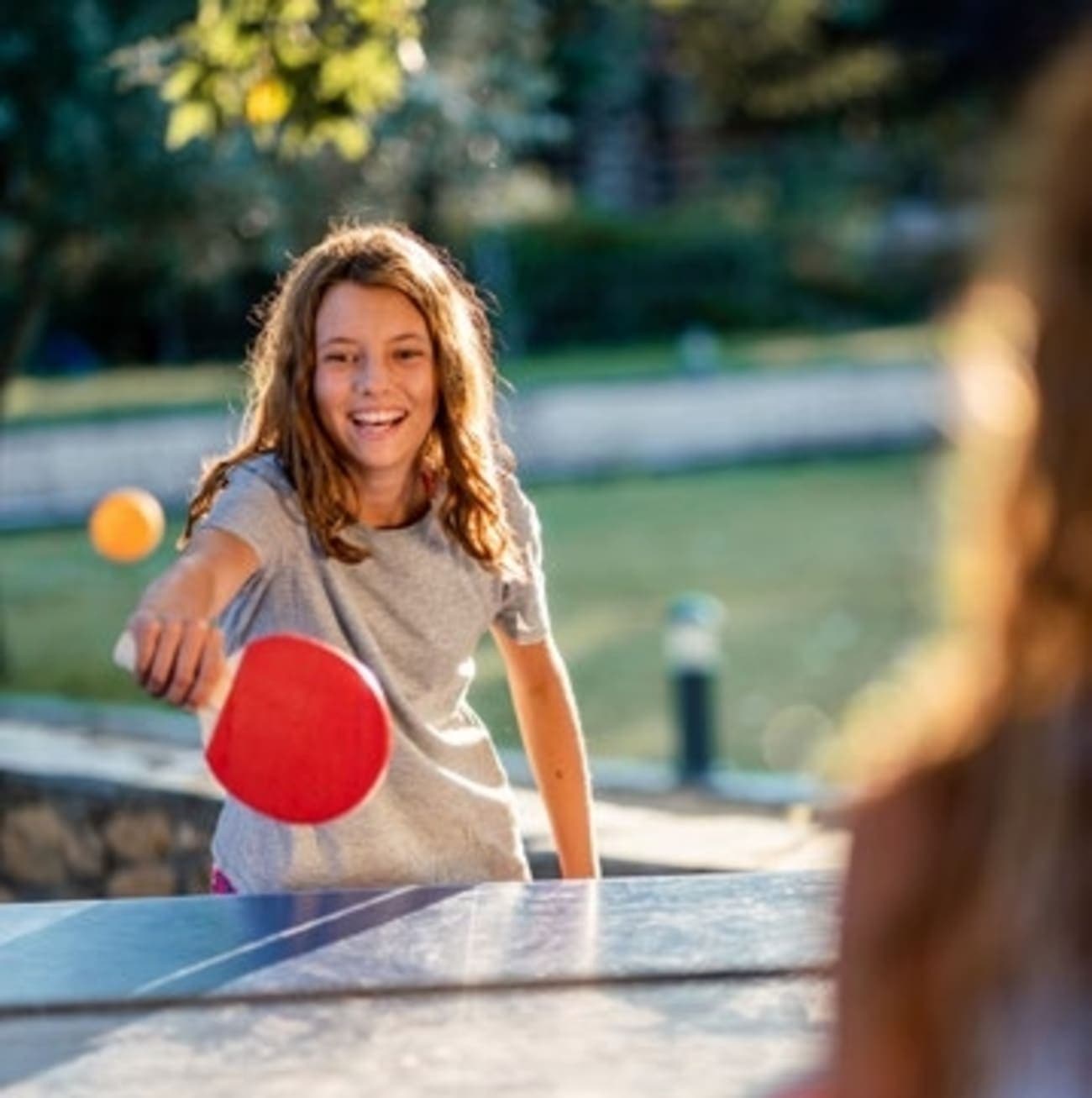 Ping Pong Table