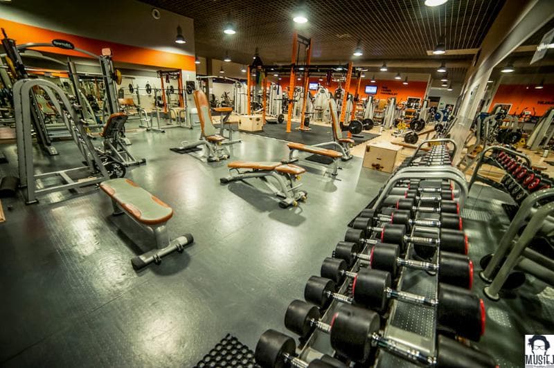 Gymnasium