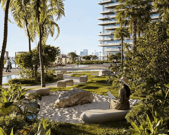 Calm Palm Garden