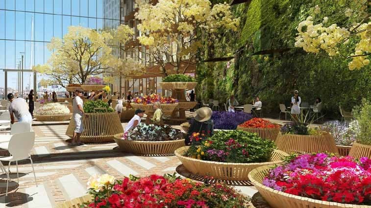 Landscaped Garden